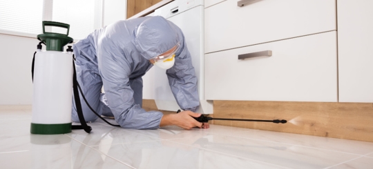 A person is doing a pest control service