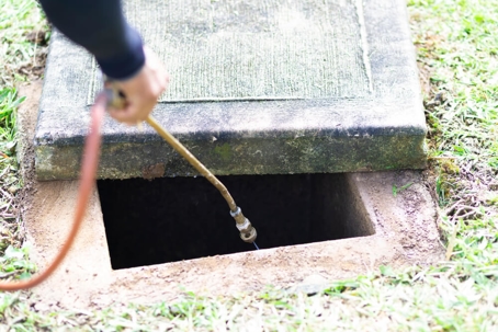 Will Fumigation Kill Spiders?