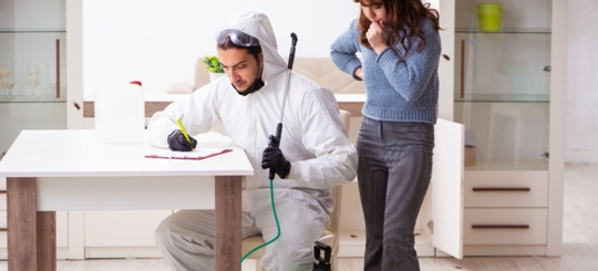 An exterminator estimating the possible job that needs to be done to the owner