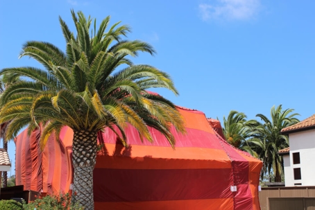 How Long Does Tent Fumigation Last?