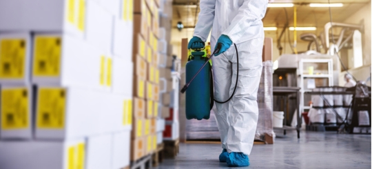 A person is doing a pest control service