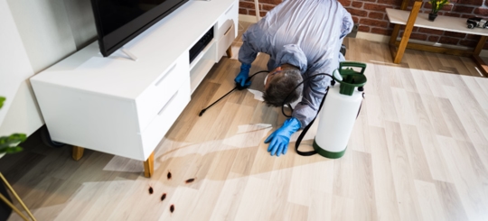 A person is doing a roach control service