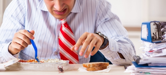 Is There Ever Just One Roach? " Protect Your Home Today"