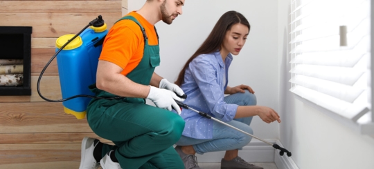 How Do I Get Rid of Roaches Fast? " Get Expert Advice Now"