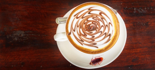 Does Coffee Kill Roaches? " Find Out What to Expect"