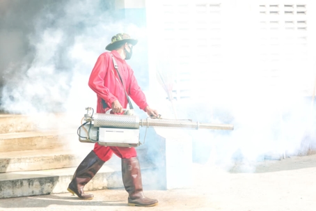 How Long Should You Stay Out of House After Fumigation?