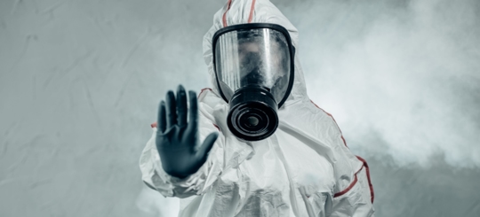 How Long to Stay Out After Exterminator? " Get to Know More"