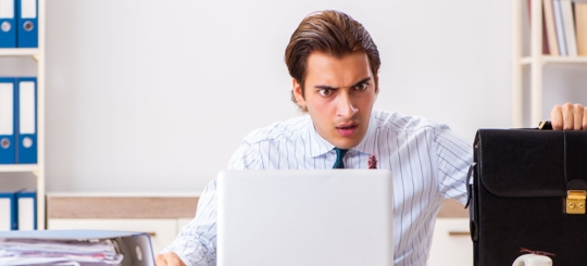 Does Seeing One Roach Mean There Are More?