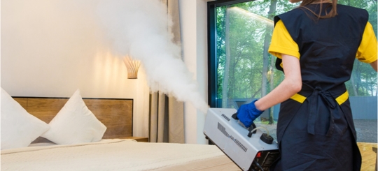 A person is doing a bed bug treatment