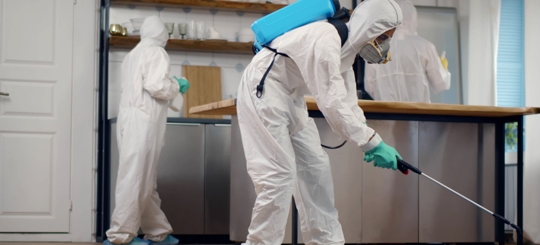 What Is The Difference Between Pest Control & Exterminator?