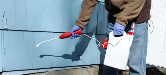 A person is doing a pest control service