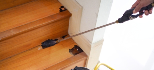 A person is doing a pest control service