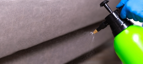 How Long Does Exterminator Spray Last? "Learn What to Do Next"