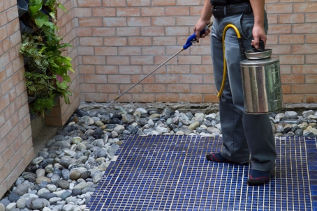 Why Is Termite Protection So Expensive?