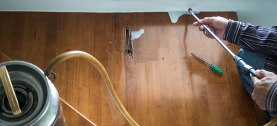 A person is doing a termite control service