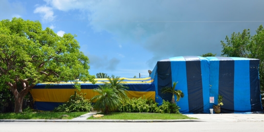 What Is Tent Fumigation? More Q & A - Security Termite and Pest Control