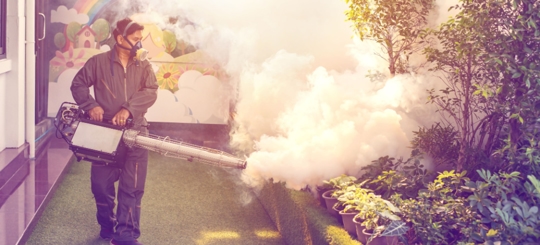 Why Do I Keep Getting Bit by Mosquitoes?