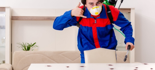 A masked exterminator in blue and red overalls, carrying a sprayer, points to cockroaches on a table and makes a "call me" gesture.