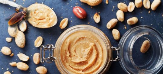 Do Roaches Like Peanut Butter?