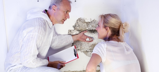 An exterminator showing to the owner the cause of termites