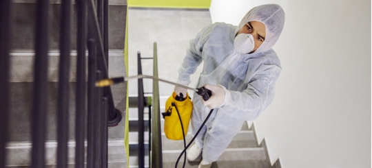 An exterminator doing a pest control service