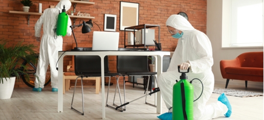 Two guys doing a pest control service