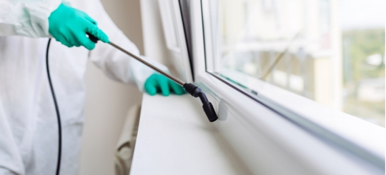 A picture of a window cleaning