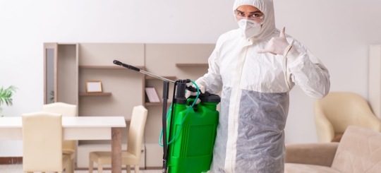 A person is doing a termite control service