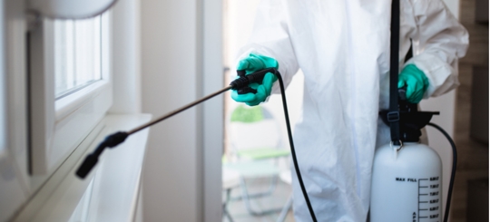 A person is doing a pest control service