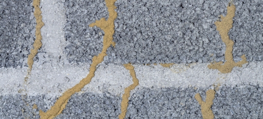 A termite infestation