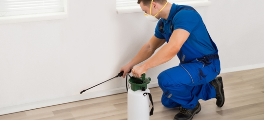 A person is doing a pest control service