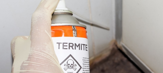 A person using a termite spray on the corner