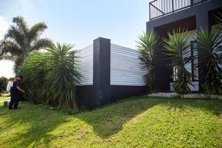 Is It OK to Have Termites in Your Yard?