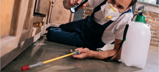 A person is doing a pest control service