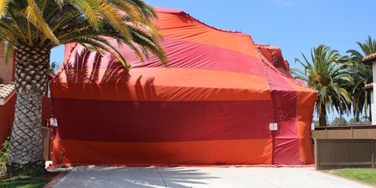 What Is Tent Fumigation?