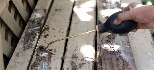 A person doing a termite control service