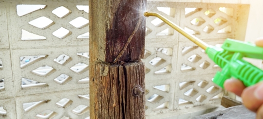 A person is doing a termite control service on a wood