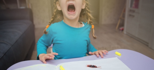 Why Do I Suddenly Have Roaches? " Know When to Call for Help"