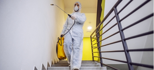 A person is doing a pest control service