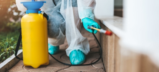 A person is doing a pest control service