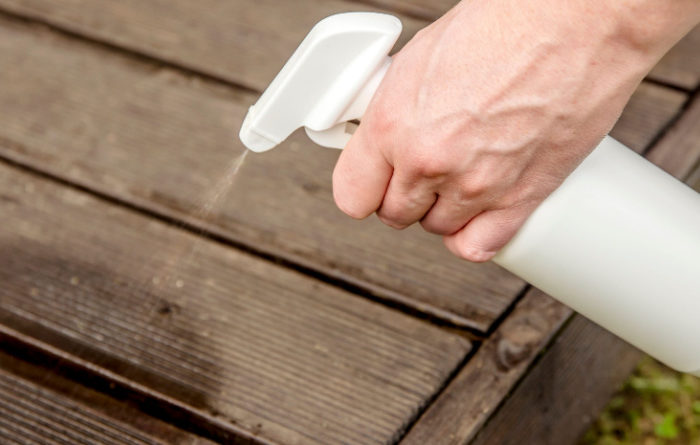 Can Salt Kill Termites?