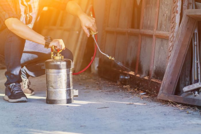 What is the best way to get rid of termites