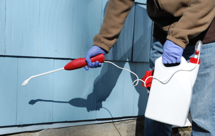 What do professionals use to kill termites?