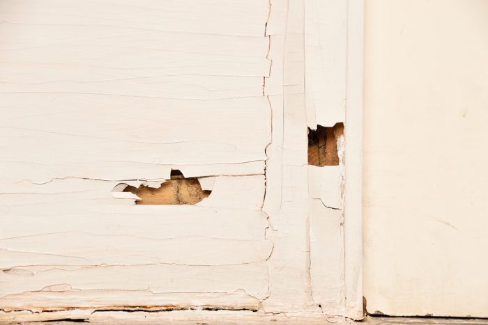 How do you tell if termites are active in your house