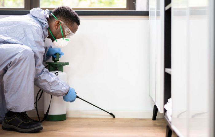 Can an exterminator get rid of termites?